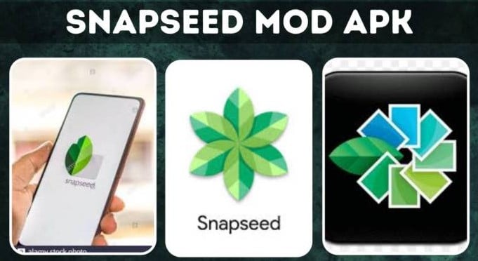 snapseed mod apk download